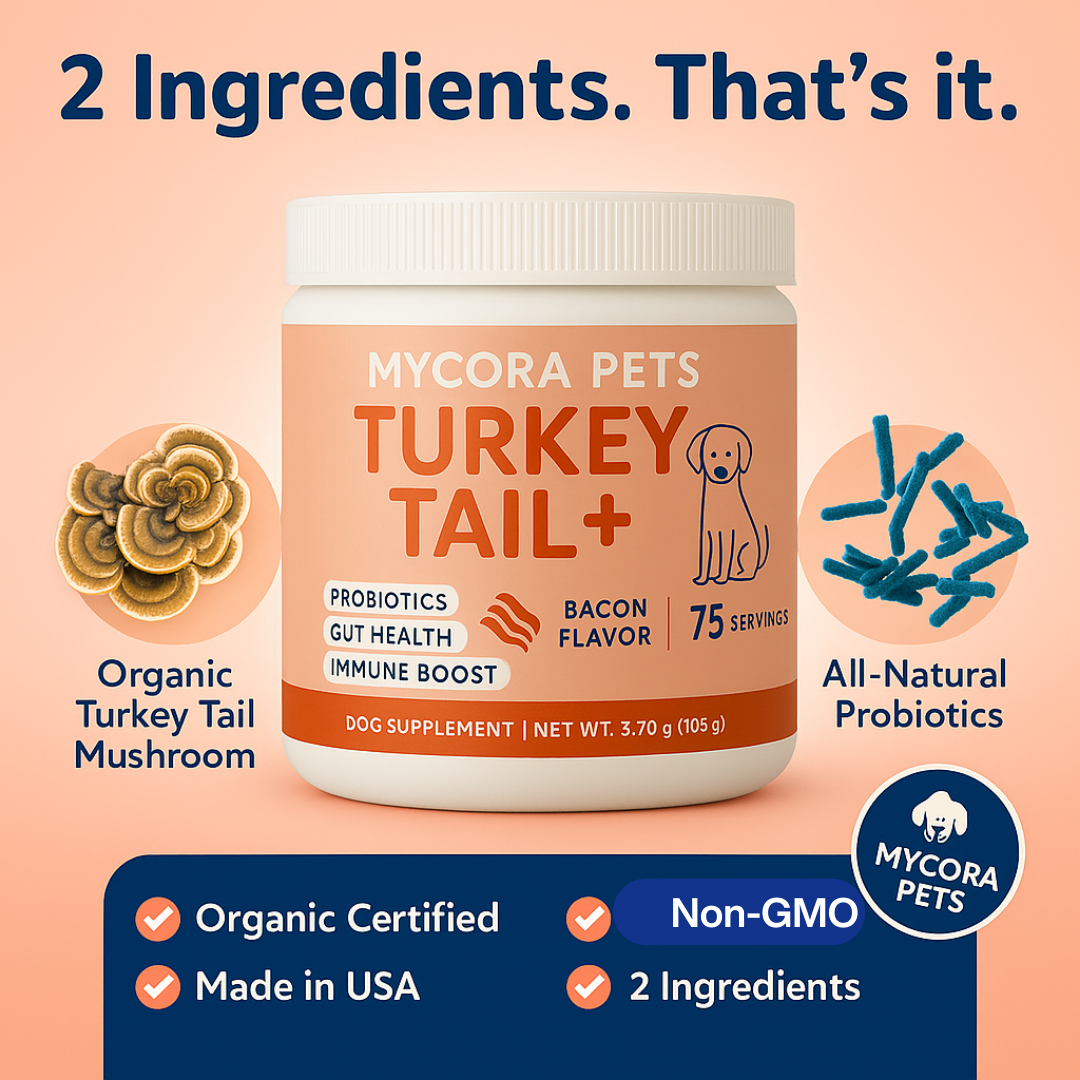 Turkey Tail Probiotic+