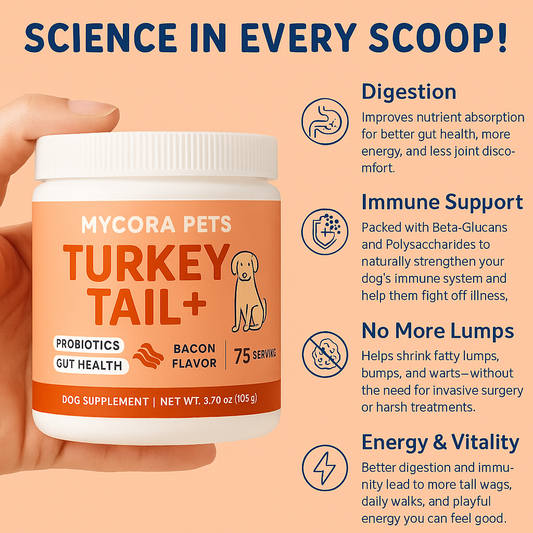 Turkey Tail Probiotic+